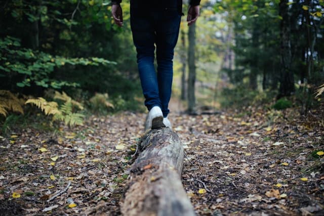 Person balancing on a log in a forest